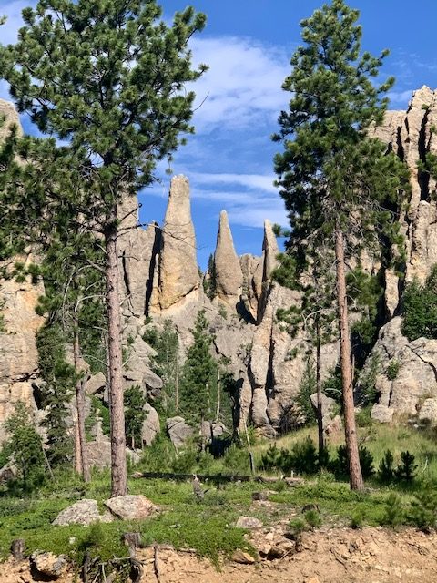 south_dakota_scenic_drives_custer_state_park