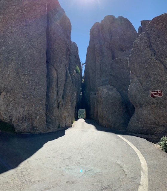 south_dakota_scenic_drives_needles_highway