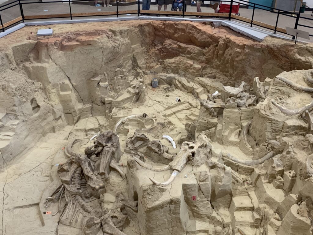 the_mammoth_site_south_dakota